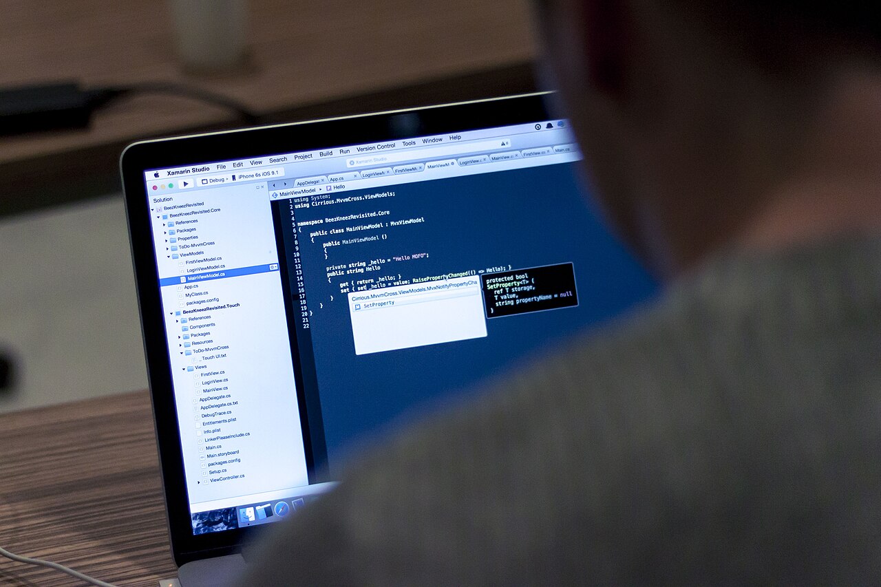 A laptop screen showing development tools